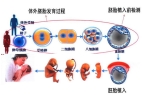 天津试管婴儿医院前十排名？附试管生男孩成